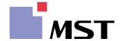 MST(恩司迪)